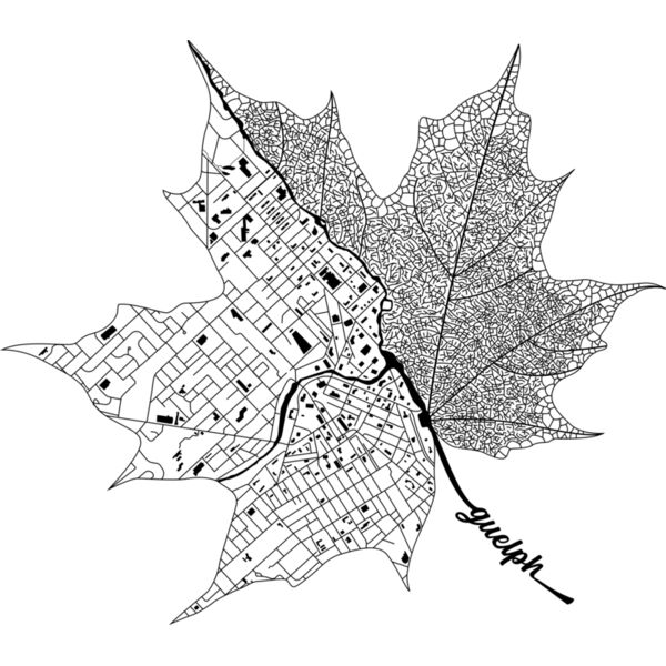 Guelph Leaf  Thumbnail